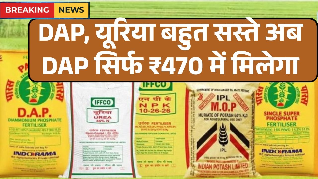 DAP Urea New Rate 2025 Today